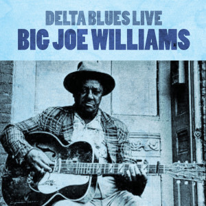 ดาวน์โหลดและฟังเพลง Nobody Knows You When You're Down and Out พร้อมเนื้อเพลงจาก Big Joe Williams