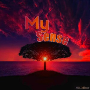 Album My Sense (Explicit) from Mr. Mister