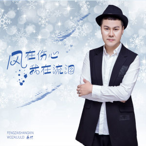 Listen to 风在伤心我在流泪 (伴奏) song with lyrics from 暴林
