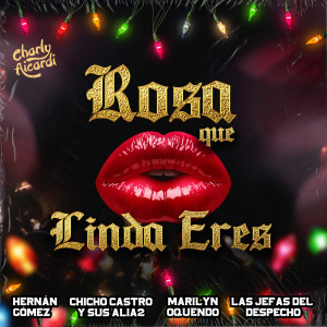 收聽Chicho Castro y Sus Alia2的Rosa que Linda Eres歌詞歌曲