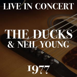Listen to Little Wing (Live) song with lyrics from The Ducks