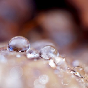 ดาวน์โหลดและฟังเพลง Chanting พร้อมเนื้อเพลงจาก Relaxing Music