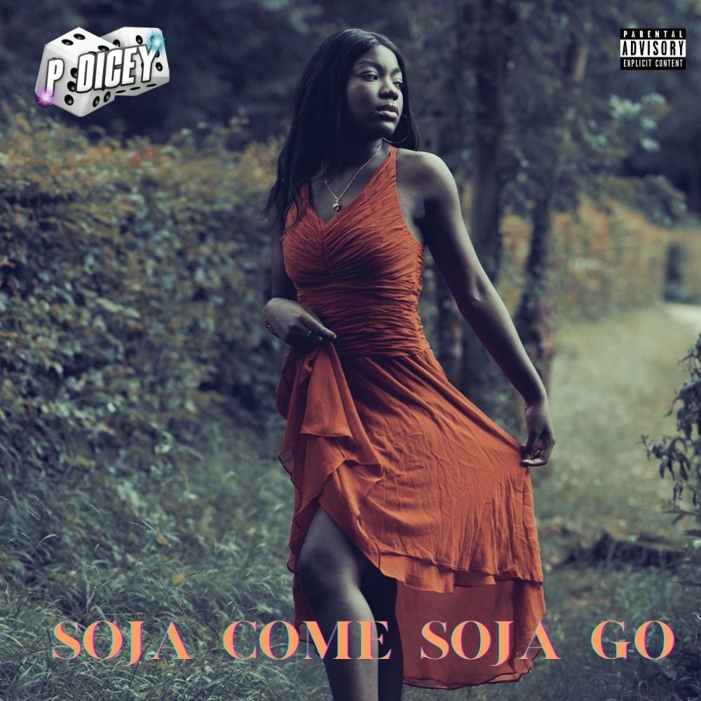 Soja Come, Soja Go (Explicit)