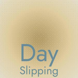 Various的专辑Day Slipping