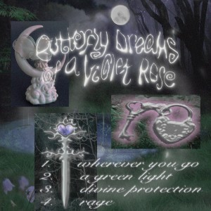 อัลบัม Butterfly Dreams Of A Violet Rose (Explicit) ศิลปิน yergurl