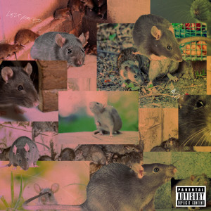 Listen to Lordy, Lordy (Explicit) song with lyrics from 10 Thousand Rats