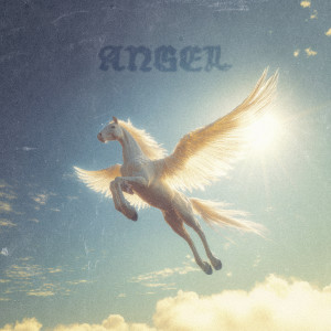 Album ANGEL from 
