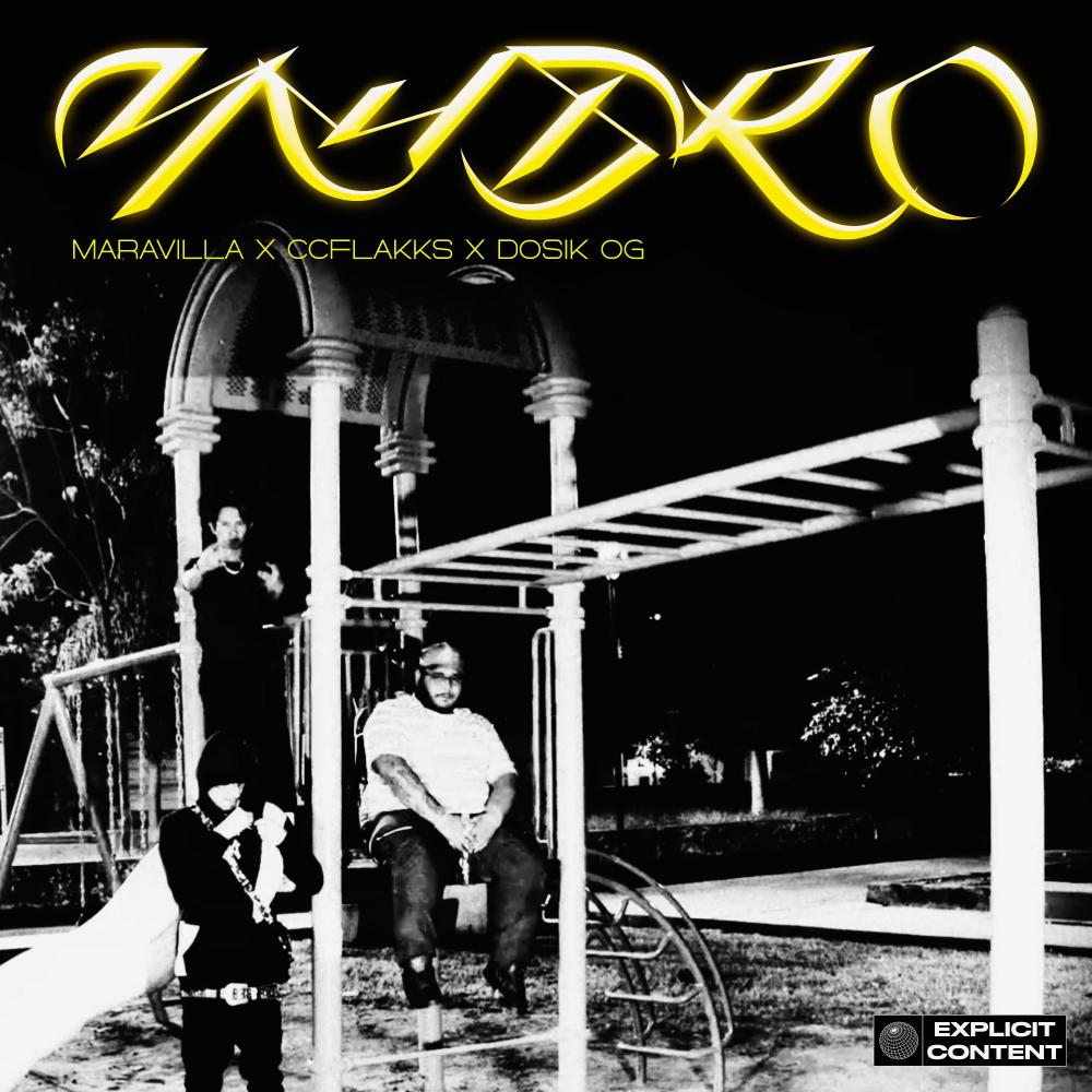 Hydro (feat. Ccflakks & Dosik OG) (Explicit)