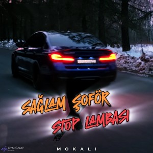 Listen to Sağlam Şoför x Stop Lambası song with lyrics from Mokali