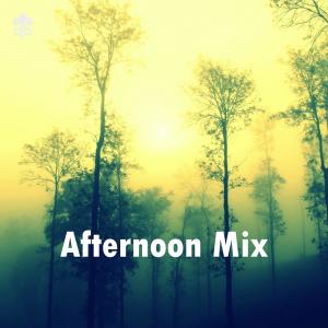 Album Afternoon Mix oleh Various
