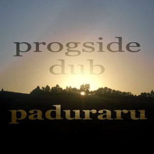 收聽Paduraru的Housemusic歌詞歌曲