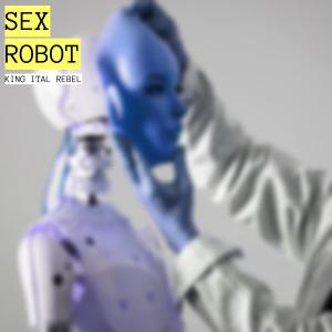 อัลบัม Sex Robot ศิลปิน King Ital Rebel