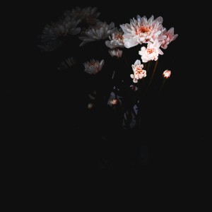default album img