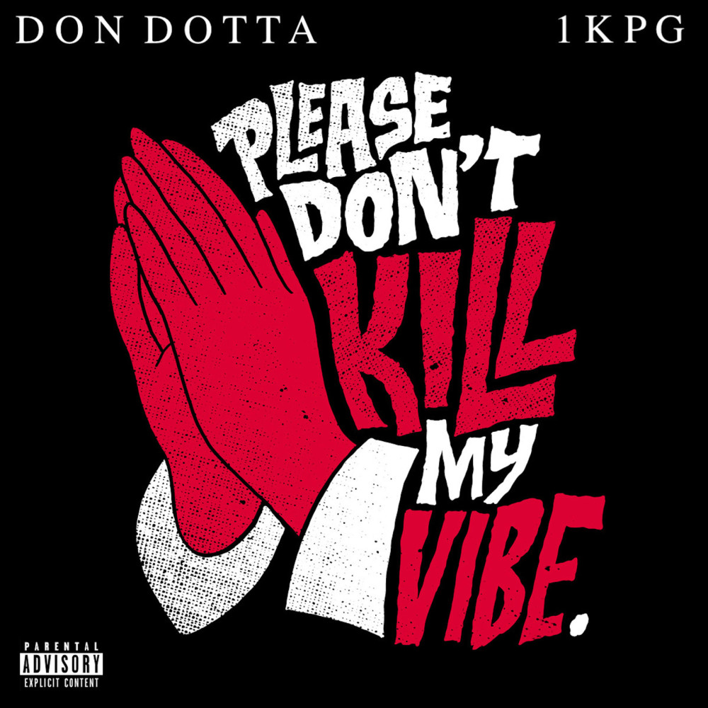 Please Don't Kill My Vibe. (Explicit)