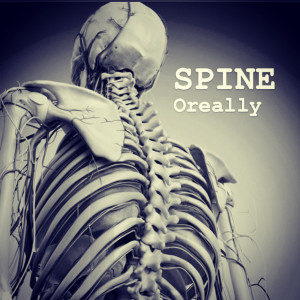 Listen to Spine song with lyrics from Oreally
