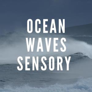 Pro Sounds of Nature的专辑Ocean Waves Sensory