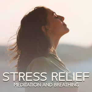 Listen to Simply Being (Crickets) song with lyrics from Natural Meditation Guru