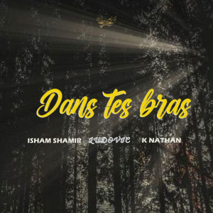 收聽Ludovic的Dans tes bras歌詞歌曲