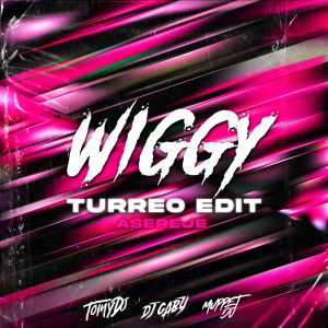 Album Wiggy Asereje (Turreo Edit) [Remix] oleh Muppet DJ