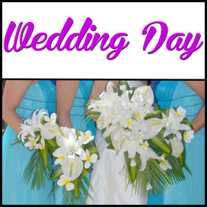ดาวน์โหลดและฟังเพลง Wedding Blues พร้อมเนื้อเพลงจาก Bill Mack