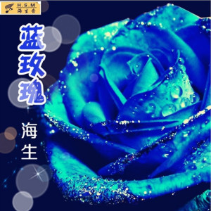 收聽海生的藍玫瑰 (完整版)歌詞歌曲