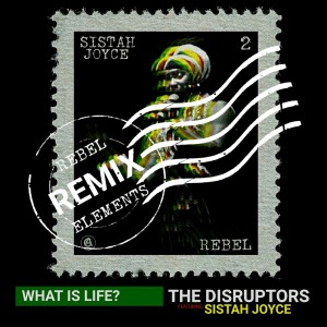 Album What is Life? (Rebel Elements Remix) from The Disruptors