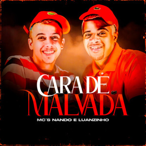 Listen to Cara De Malvada (Explicit) song with lyrics from Mcs Nando and Luanzinho