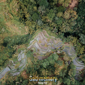 Album Sad memory oleh Hoàng Thái