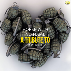 收聽Ameritz Tributes的Horse With No Name歌詞歌曲