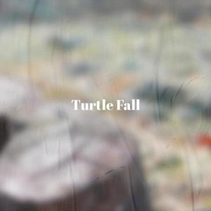 Album Turtle Fall oleh Various