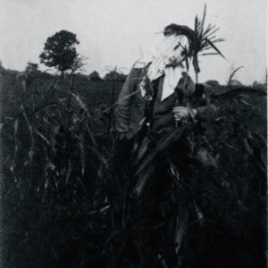 收听Michael Wadlow的Scarecrows歌词歌曲