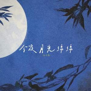 Listen to 今夜月光绵绵 (伴奏) song with lyrics from 陆卡斯