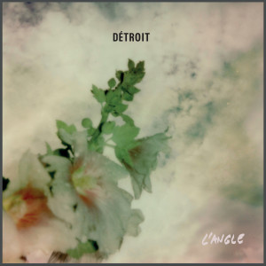 Listen to Fleur du chaos song with lyrics from Detroit Brooks