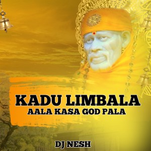Listen to Kadu Limbala Aala Kasa God Pala song with lyrics from DJ Nesh