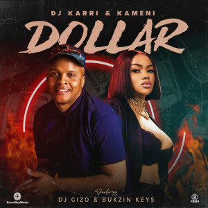 收聽Dj Karri的Dollar歌詞歌曲