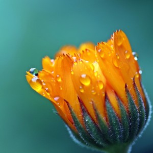 Listen to Sunny Day song with lyrics from Rain for Deep Sleep