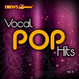 อัลบัม Vocal Pop Hits, Vol. 3 ศิลปิน The Hit Crew