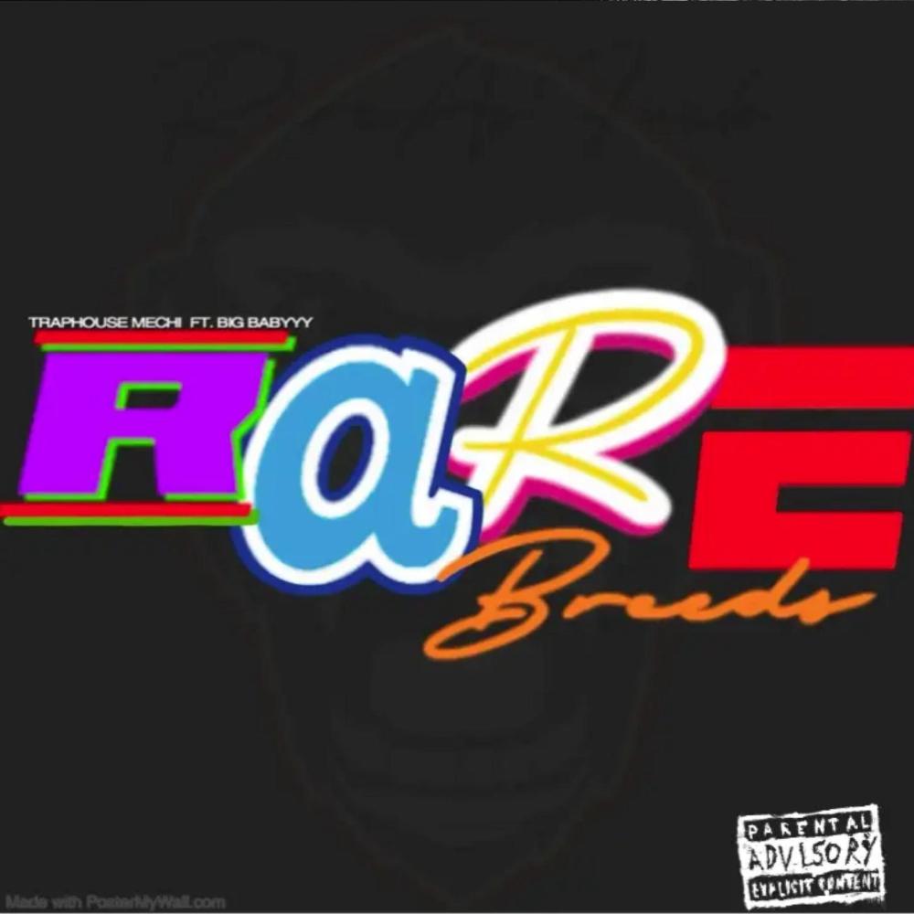 RAREBREED 11U (feat. BIG BABYYY) (Explicit)