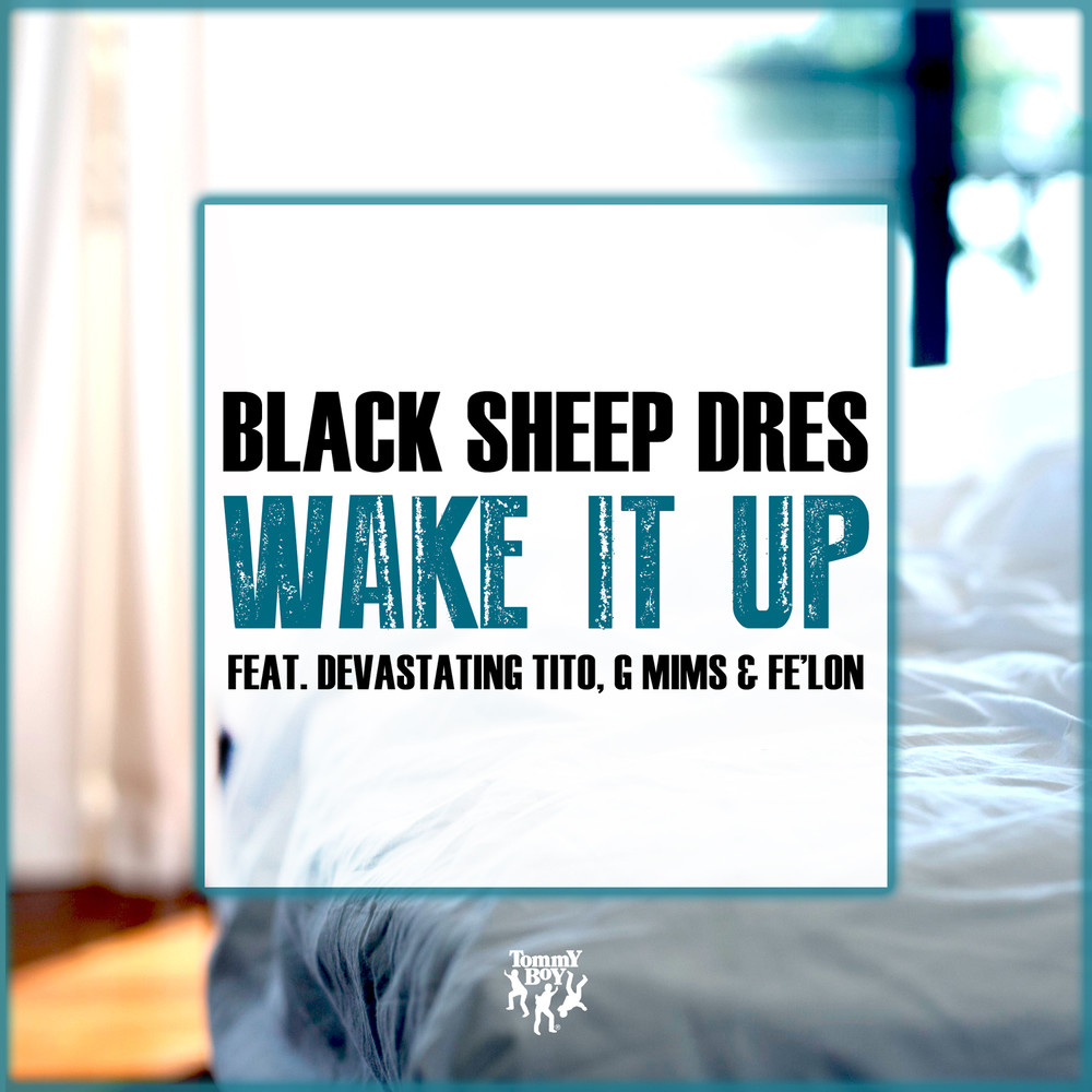 Wake It Up(Instrumental) (纯音乐)
