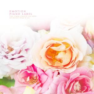 Album A message of love in a romantic piano play from Various Artists