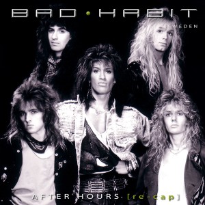 ดาวน์โหลดและฟังเพลง I Need Somebody พร้อมเนื้อเพลงจาก Bad Habit Sweden