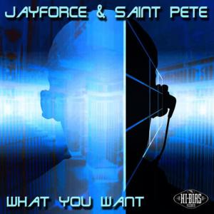 收聽Jayforce的What You Want (Original Radio Edit)歌詞歌曲