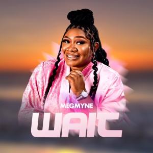 Listen to Wait song with lyrics from Megwyne