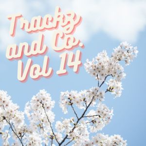 Album Trackz and Co. Vol 14 from Highland Hitz