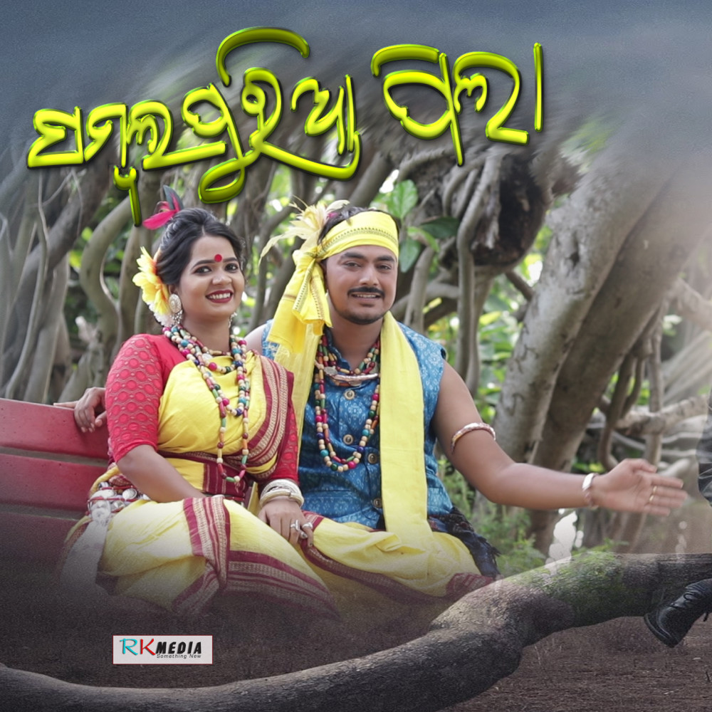 DJ Babu Sundargadia