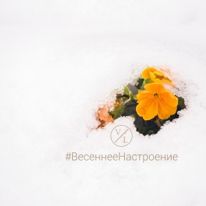 Various的专辑#Весеннее настроение (Explicit)