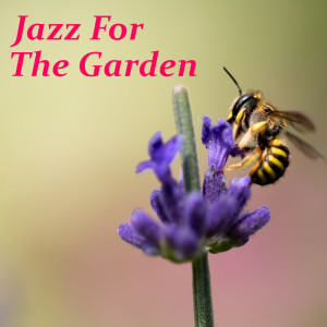 ดาวน์โหลดและฟังเพลง Let's Face The Music And Dance พร้อมเนื้อเพลงจาก Ella Fitzgerald