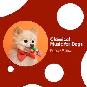 Album Classical Music for Dogs: Puppy Piano oleh Dog Relaxation