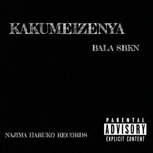 Listen to Hate Me (feat. SHIN & NEW ENDO) (Explicit) song with lyrics from BALA SBKN