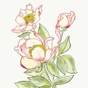 收聽Kiik的Asphalt Flower歌詞歌曲